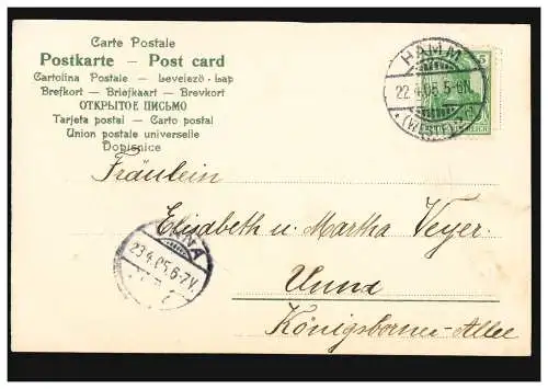 Carte de Pâques Enfants avec poussins et esseulerie géante, HAMM 22.4.1905