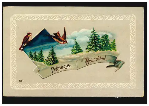 Prägekarte Weihnachten Winterlandschaft mit Vögeln, WERDUM 25.12.1912