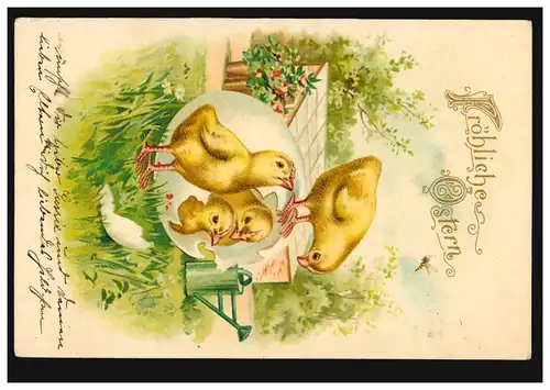 Carte de Pâques Oeuf de pâque avec quatre poussins dans le jardin, BAD OEYNHAUSEN 2.4.1904