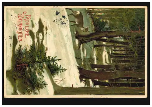 Carte de Noël Reh dans la forêt avec neige, KIEL 22.12.1907