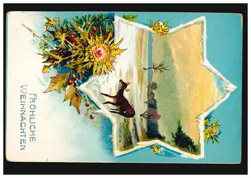 Carte de Noël Reh paysage hivernal Étoile de Noel Urdingen 30.12.10