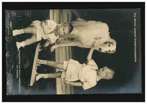 Carte de vue Les fils de notre couple de princes héritiers avec chien, AACHES 12.10.1909