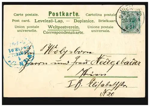 Carte de pré-repas Joyeux Noël sapin avec des pommes de pin, VIENNE 23.12.1901