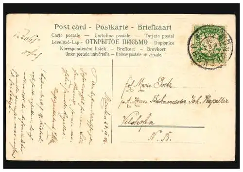Prägekarte Neujahr Landschaftsbild mit Beerenzweig, MÜNCHEN 29.12.1096