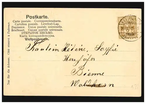 Prägekarte Neujahr Glücksklee und Hufeisen, BIEL (BIENNE) 30.12.1902