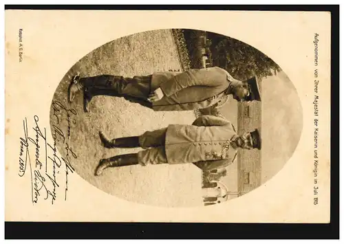 Ansichtkarte vom Juli 1915: Kaiser Wilhelm II. im Schloss zu Posen, ungebraucht 