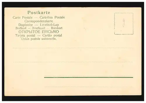 Carte de l'ours polaire, vers 1910, inutilisé