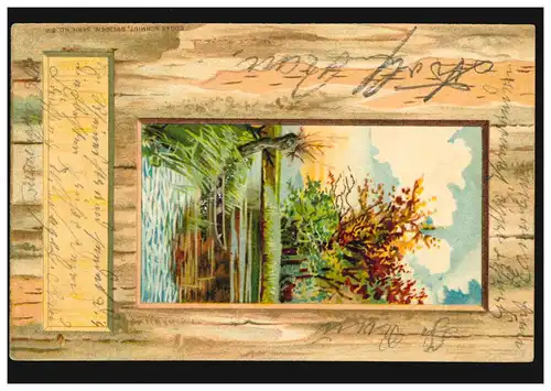 Carte de prévisualisation Vue de la fenêtre sur le paysage berger avec bateau, Mayence 18.8.1902