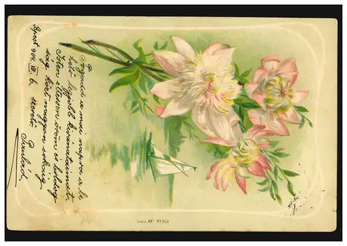 Carte de présentation Belle voile et fleurs, BUDAPEST 6.7.1904 comme carte postale locale
