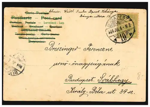 Carte de présentation Belle voile et fleurs, BUDAPEST 6.7.1904 comme carte postale locale