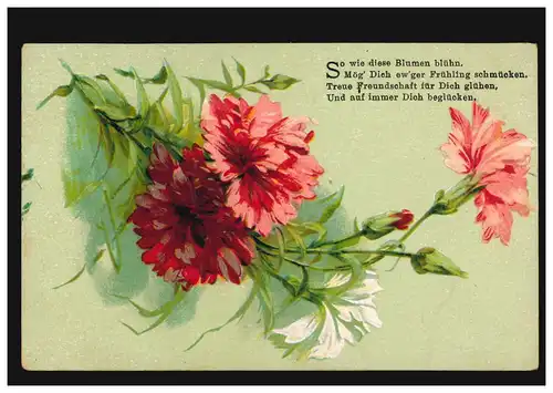 Carte de présentation Salut fleurs d'oeillet poème Printemps, INNERINGEN (HOHENZOLLERN) 22.5.