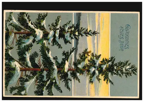 Carte de l'An Nouvel An Sapins dans la neige OLDENBURG 1.1.1912