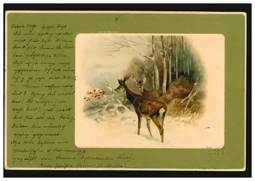 Carte de l'année Nouvel An Rehe sur la forêt en hiver, carte postale locale MUNICHEN 1903