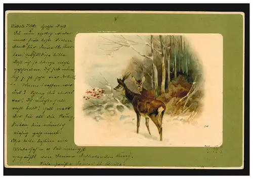 Prägekarte Neujahr Rehe am Waldrand im Winter, Ortspostkarte MÜNCHEN 1903
