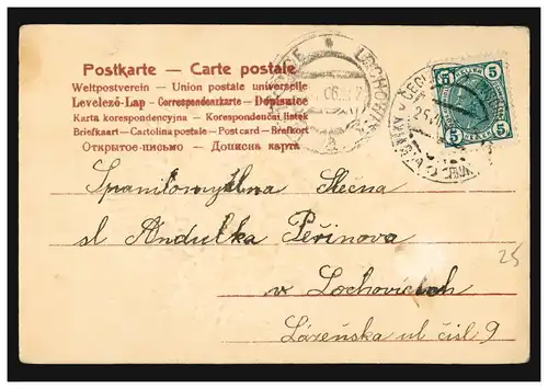 République tchèque Carte de prédilection Srdce prani bouquet, selon LOCHOWITZ 25.7.1906