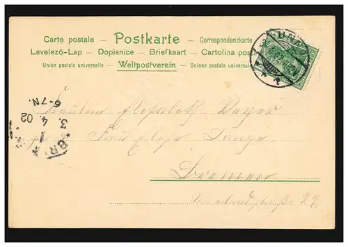 Carte de dessin de violette, panier avec papillon et oiseau, UNNA 3.4.1902