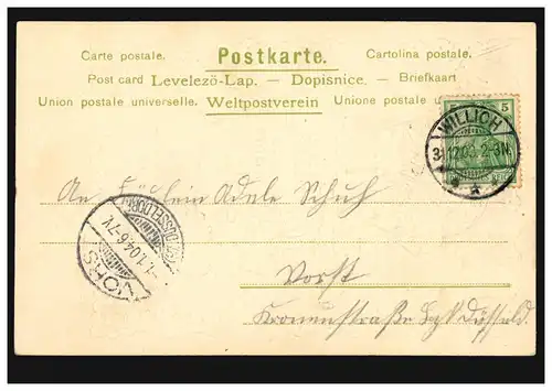 Carte de l'année Nouvel An Trèfle à quatre feuilles avec pièces d'or,WILD 31.12.1903