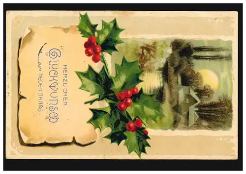 Prägekarte Neujahr Dorflandschaft im Mondschein und Beerenzweig CREFELD 31.12.09