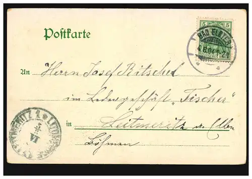 AK Gruss aus Bad Elster Totalansicht, 4.8.1904 nach LEITMERITZ 5.8. in Böhmen