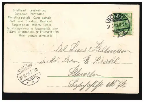 Prägekarte Geburtstag Rote Rose, SOEST 31.8.1903 nach SCHWELM 31.8.03