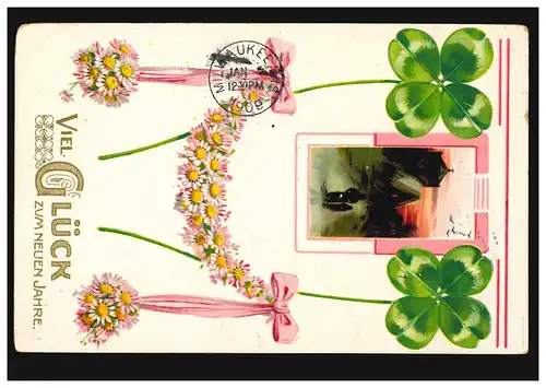 Carte de l'année Nouvel An Trèfle à quatre feuilles, CoBURG 24.12.1908 aux États-Unis