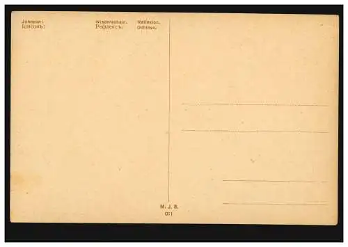 Carte de vue artiste Johnson: Relexion de retour, inutilisé