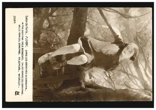 Carte de visite d'artiste P. Leroy: In the high Pine tree branches, inutilisé