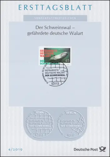 ETB 04/2019 Schweinswal, gefährdete Walart
