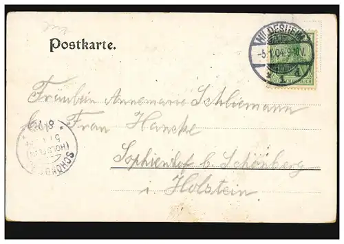 AK Hildesheim: Partie an der Innerste, 5.1.1904 nach SCHÖNBERG (HOLSTEIN) 5.1.04
