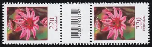 3414 Arrow-root 220 cents, paire de gros nombre + CF (ouvert 4) + sans n° **