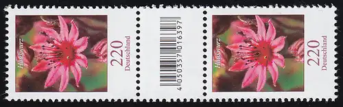 3414 Hauswurz 220 Cent, Paar große Nummer + CF (offene 4) + ohne Nr. **