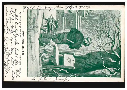 Karikatur-Ansichtskarte Vergebliches Studium: Pfeil durch Herz, BERLIN 18.5.1901