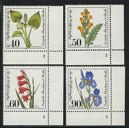 650-653 Wofa Plantes 1981, FN2 phrase **