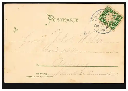 Carte de l'artiste: Fleurs avec petit écran Dorfidylle, TROSTBERG 22.12.1900