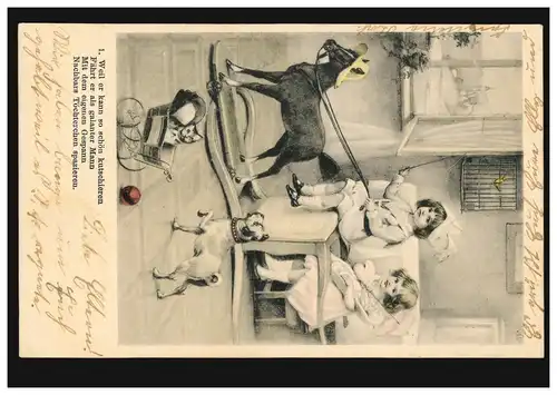 Künstler-Ansichtskarte: Mädchen spielen Kutschenfahrt Pferd Katze Hund, 4.8.1903