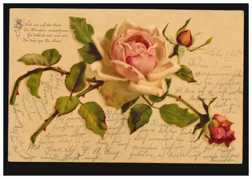 AK Rote Rosen und Liebesgedicht: So hold wie auf den Auen, ... AMBERG 12.2.1902