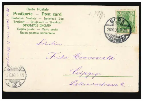 Branche de baies AK avec poème d'amour: Salut du cœur, GERA (REUSS) 26.10.103