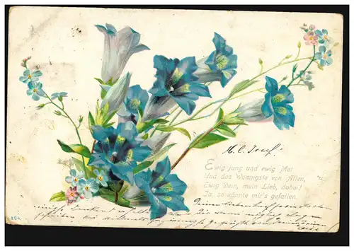 AK fleurs de gentiane avec poème: Pour toujours jeune et éternel mai, ... GELSENKIRCHEN 15.10.01