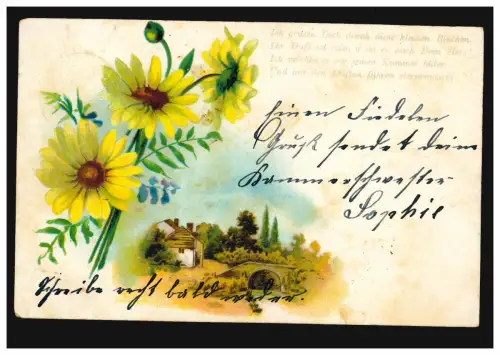 AK Paysage avec des marguerites, poème: Je vous salue à travers ces petites fleurs