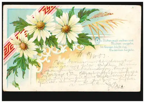AK Margeriten, Gedicht: Ob Blüten auch welken und Blumen vergehn, ... 10.10.1903