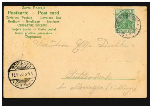 AK Rosen mit Gedicht: Die sinnigsten Blumen, die ich gefunden, ... 10.6.1903