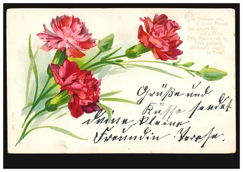 AK Rote Nelken mit Gedicht: Die Nelken rot in ihrer Pracht ... MÜNCHEN 13.1.1903