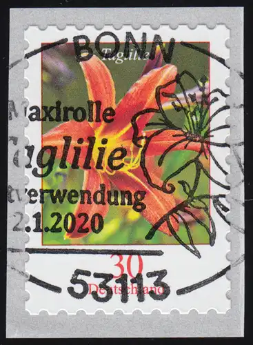 3516 Taglilie 30 centimètre sk de 5000er avec numéro GERADER, EV-O Bonn 2.1.2020