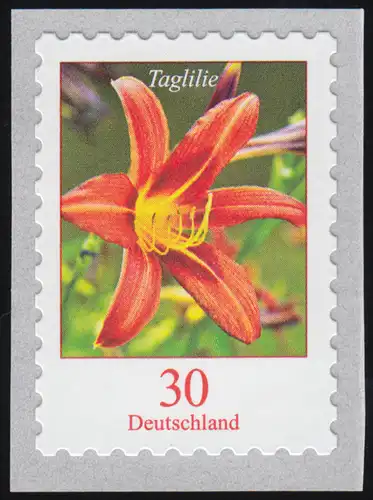 3516 Taglilie 30 Cent sk aus 5000er mit GERADER Nummer **