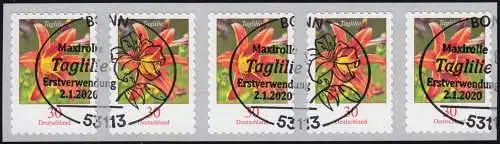 3516 Taglilie 30 Cent sk aus 500er 5er-Streifen mit UNGERADER Nummer EV-O