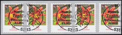 3516 Taglilie 30 Cent sk aus 500er 5er-Streifen mit UNGERADER Nummer EV-O