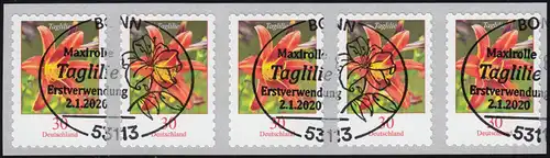 3516 Taglilie 30 Cent sk aus 500er 5er-Streifen mit GERADER Nummer, EV-O Bonn