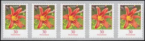 3516 Taglilie 30 centimètre sk de 500 bandes de 5 avec ungérateur numéro **