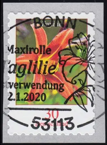 3516 Blume Taglilie, selbstklebend, EV-O BONN 2.1.2020