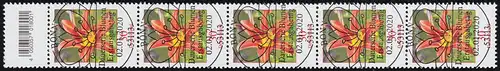 3509 Taglilie 30 centimes, bande de 5 bandes avec champ de code, ESSt Bonn 2.1.2020